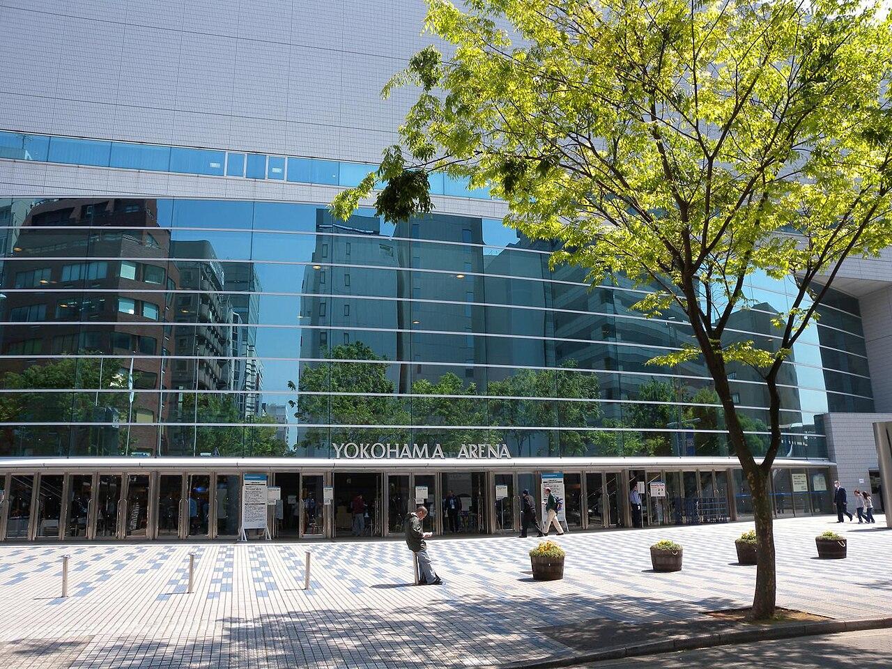 乒乓球人物:一位顶尖选手的进阶之路(球迷文化视角)